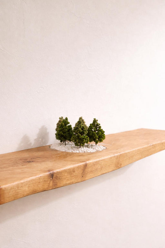 Living Walnut